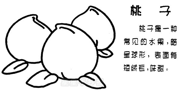 告诉你吧:我最喜欢的水果就是桃子了.每年夏天,我就缠着妈妈买桃子.