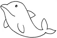 海豚简笔画图片步骤教程