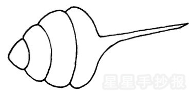 贝壳简笔画图片画法