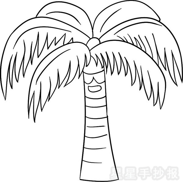 椰子树简笔画图片大全