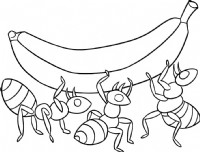蚂蚁简笔画怎么画（二）