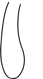 ּʻ