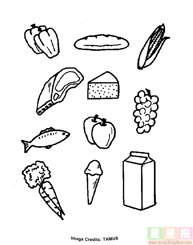 unhealthy foods coloring pages - photo #31