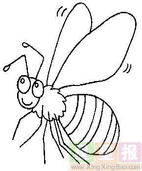小蜜蜂简鲨鱼乳房笔画压平泳衣图片