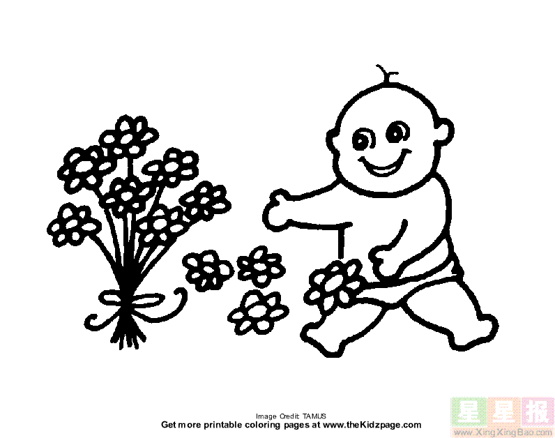 小男孩在摘花简笔画
