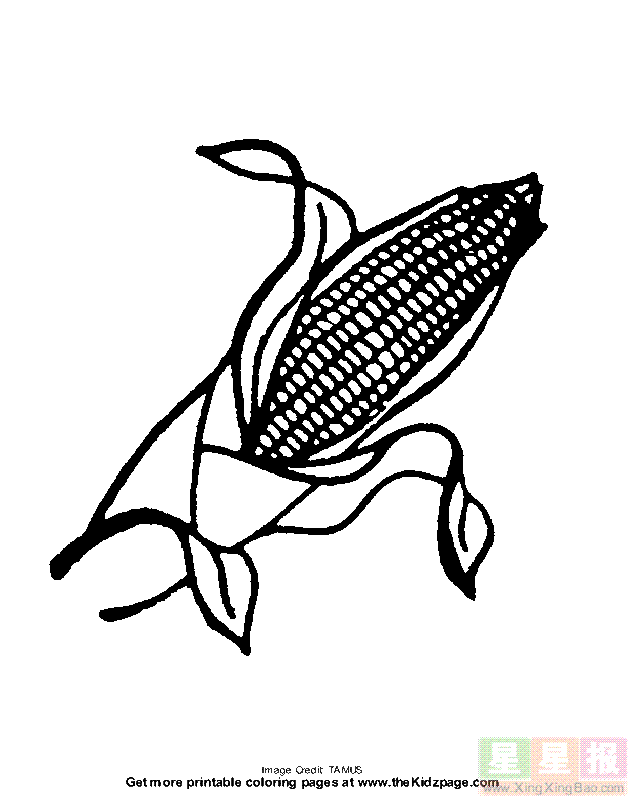 1װʻ