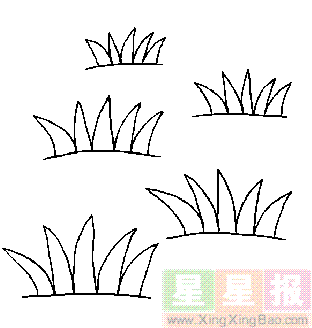 小草简笔画