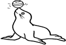 海狗玩球简笔画
