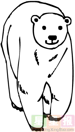 北极熊简笔画