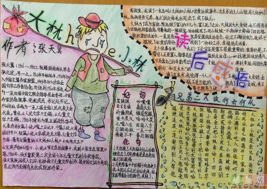 大林和小林手抄报内容