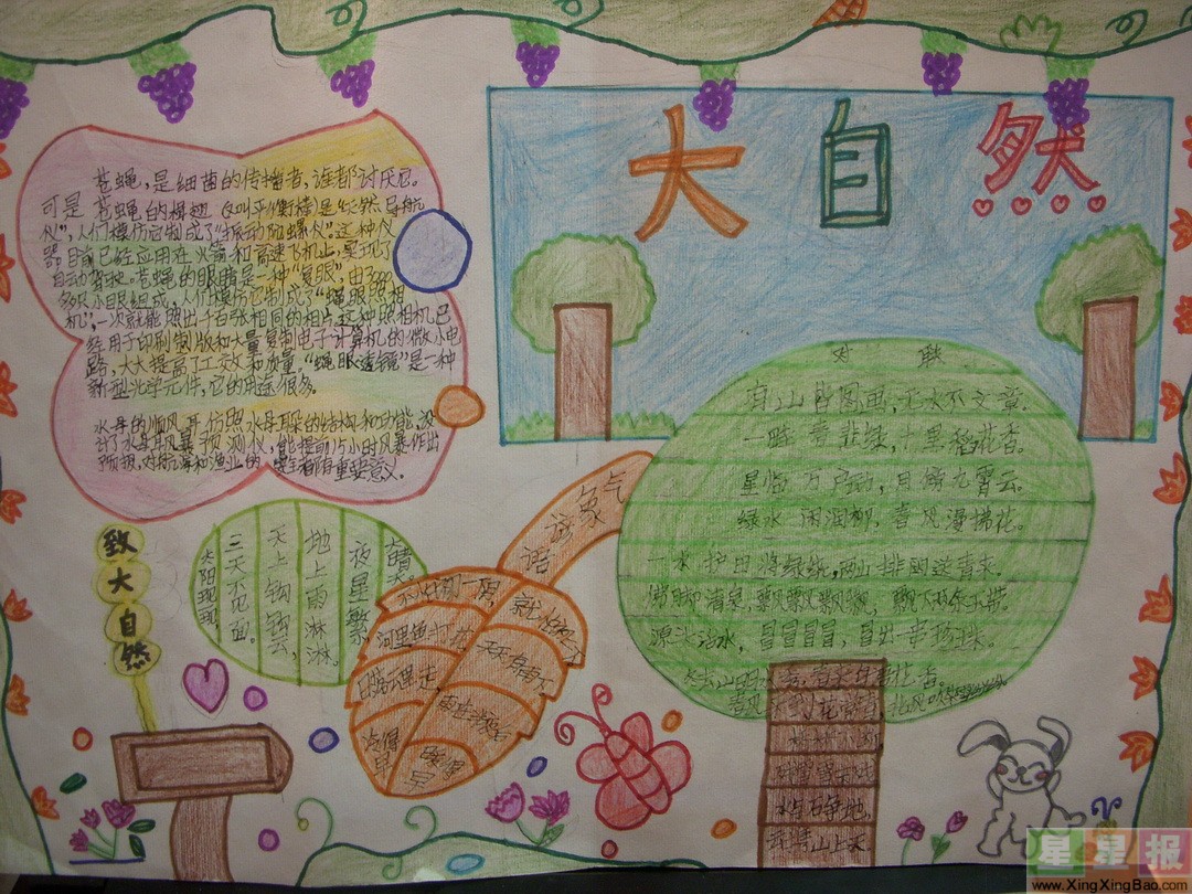 小学生大自然手抄报图片