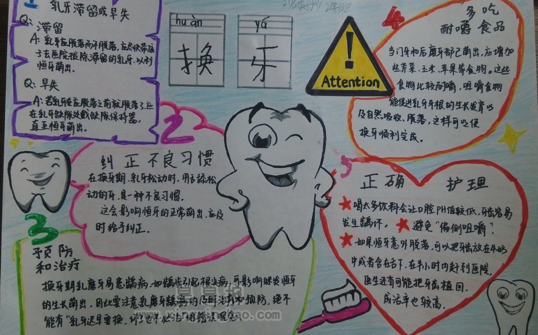 爱牙护牙手抄报资料——换牙