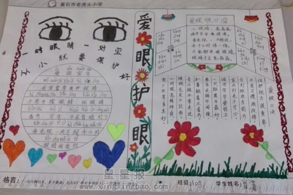 爱眼护眼手抄报资料