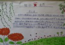 缅怀先烈手抄报资料