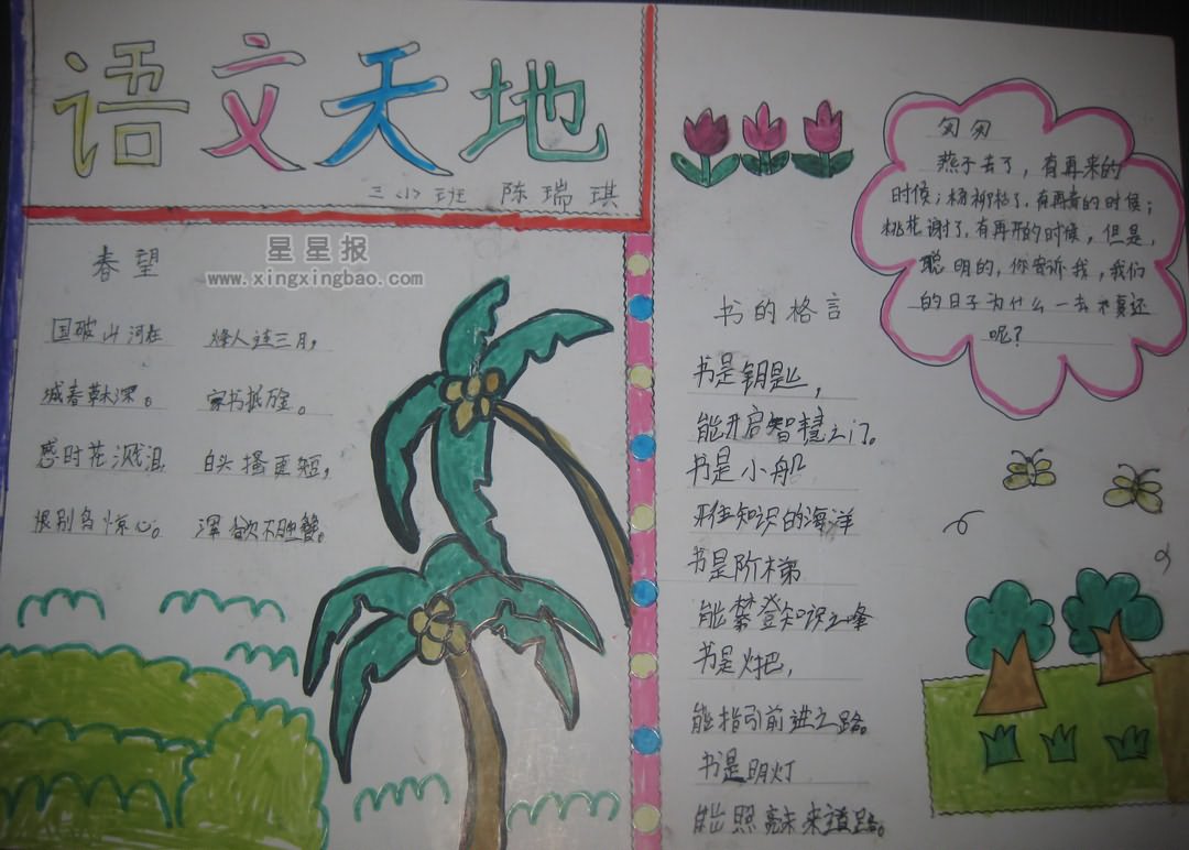 三年级语文知识手抄报
