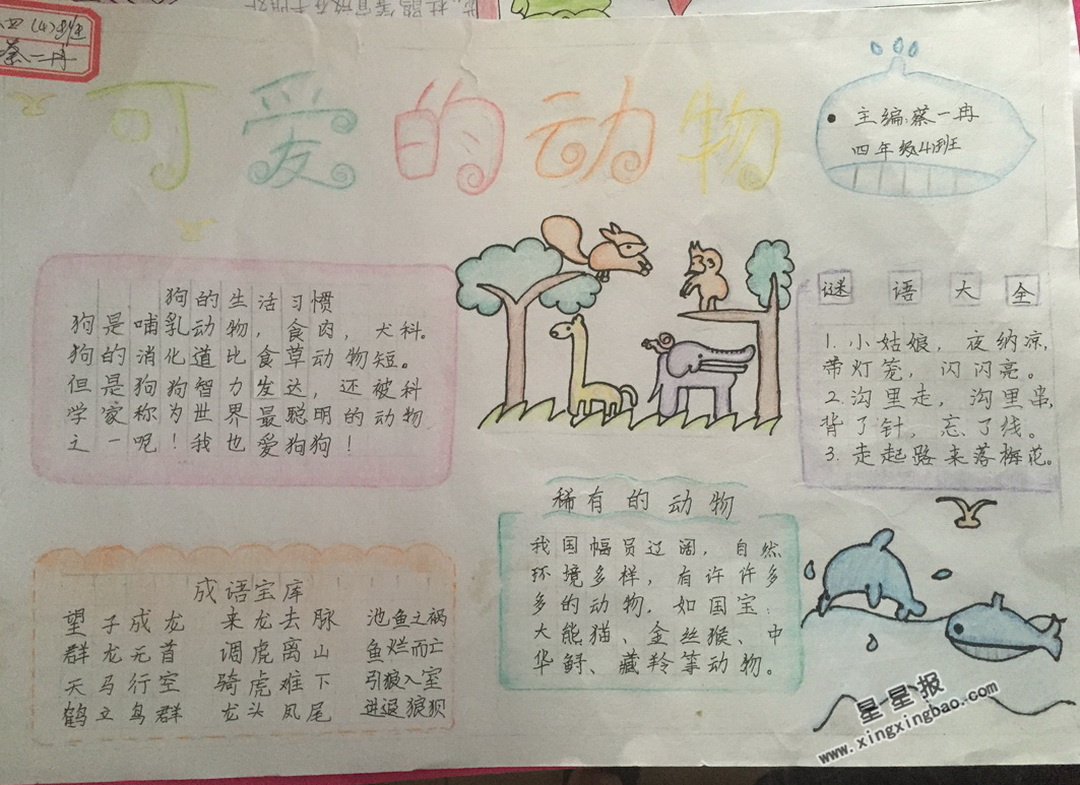 关于动物的手抄报内容
