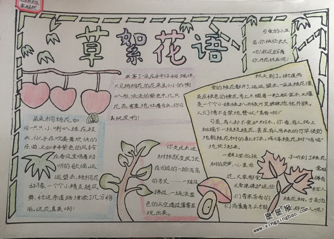 草絮花语手抄报版面设计图