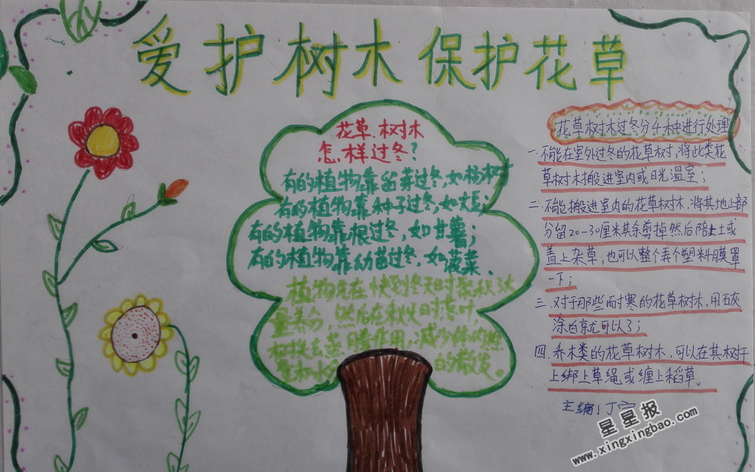 爱护树木 保护花草手抄报图片,内容