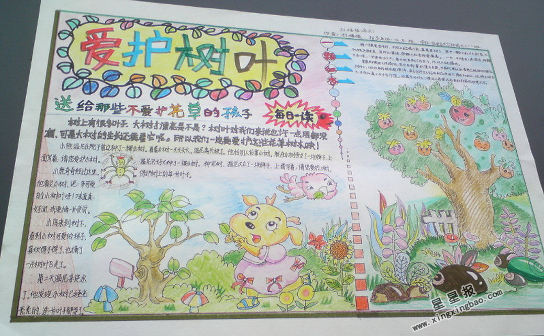 六年级爱护树叶手抄报