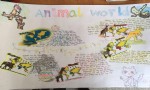 Animal WorldӢֳͼƬȫ