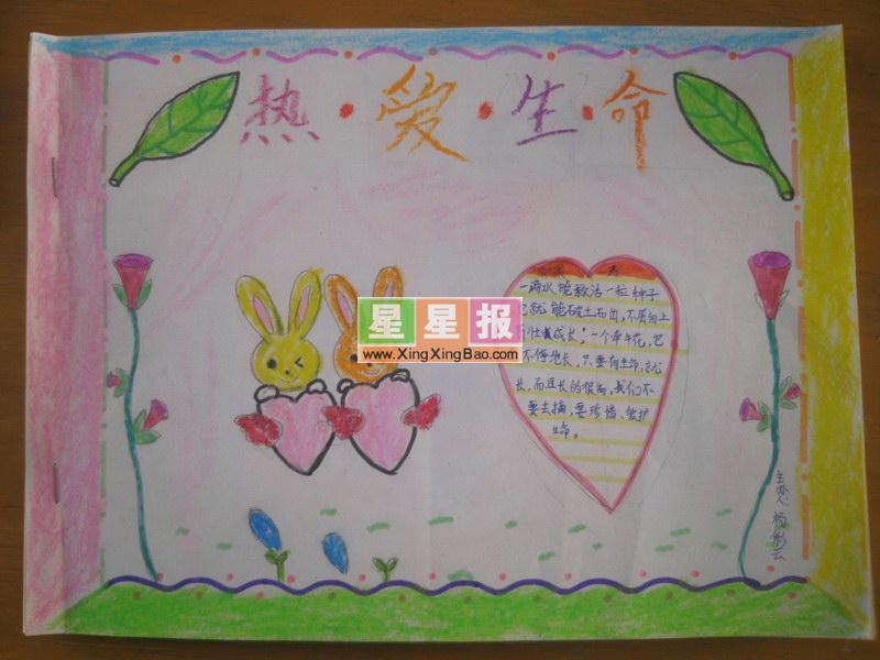 珍爱生命手抄报内容字