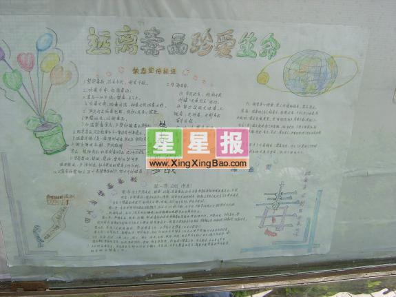 禁毒手抄报版面设计图