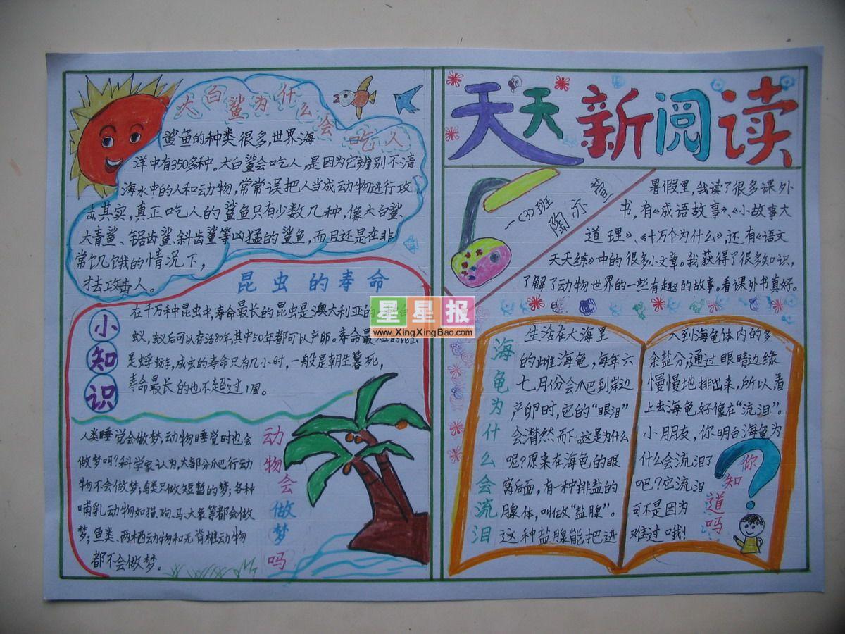 读书积累手抄报版面设计图 - 手抄报网-读书手抄报8k版面设计,读书