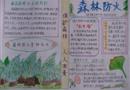 森林防火手抄报