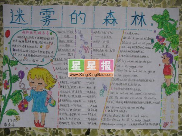 关于森林的手抄报_迷雾的森林